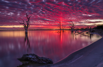 Картинка природа восходы закаты деревья озеро ночь