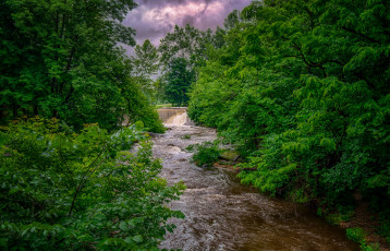 Картинка природа реки озера река лес