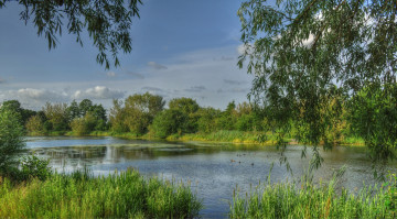 Картинка природа реки озера лес река