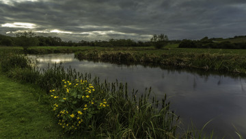 Картинка природа реки озера река лес