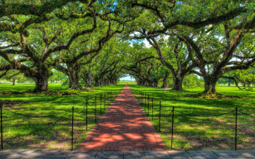 Картинка природа парк hdr деревья тропинка дорожка