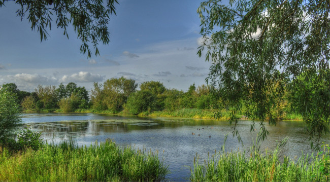 Обои картинки фото природа, реки, озера, лес, река