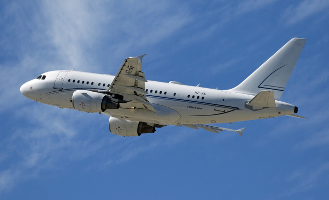 Обои картинки фото airbus a318, авиация, пассажирские самолёты, полет, авиалайнер