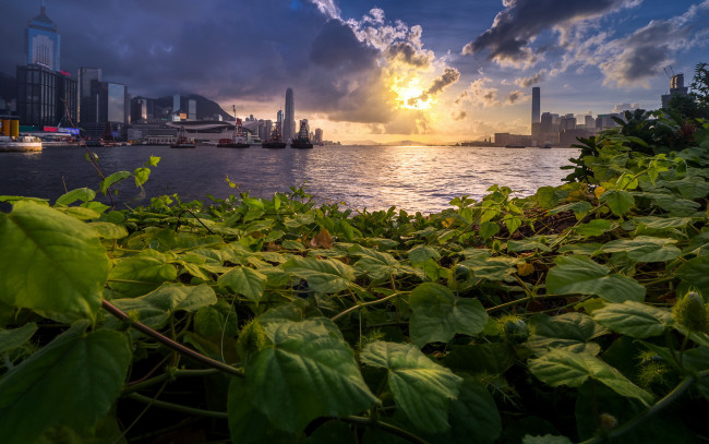 Обои картинки фото города, - пейзажи, город, река, закат