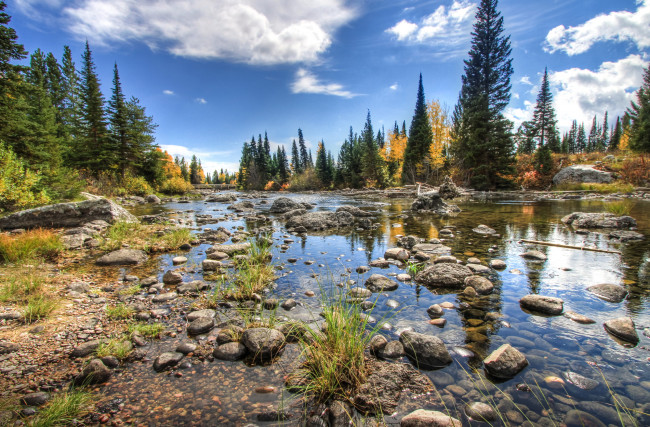 Обои картинки фото природа, реки, озера, лес, река