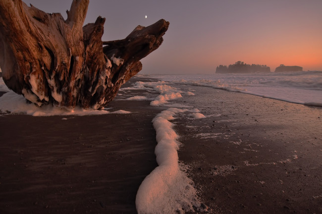 Обои картинки фото природа, побережье, берег, пена