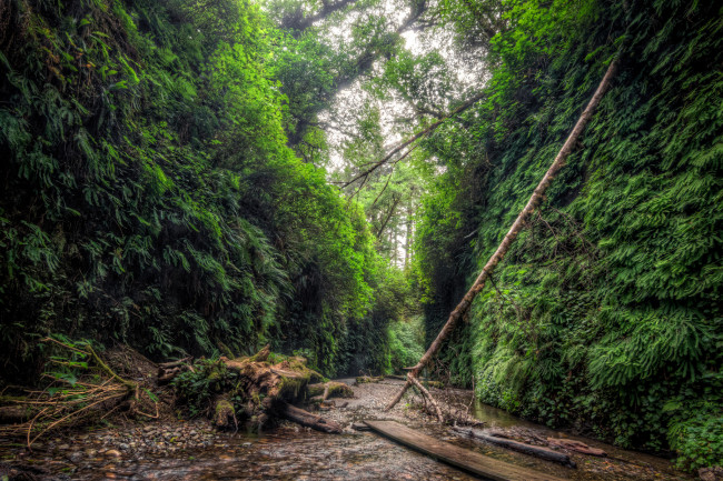 Обои картинки фото природа, реки, озера, лес, река