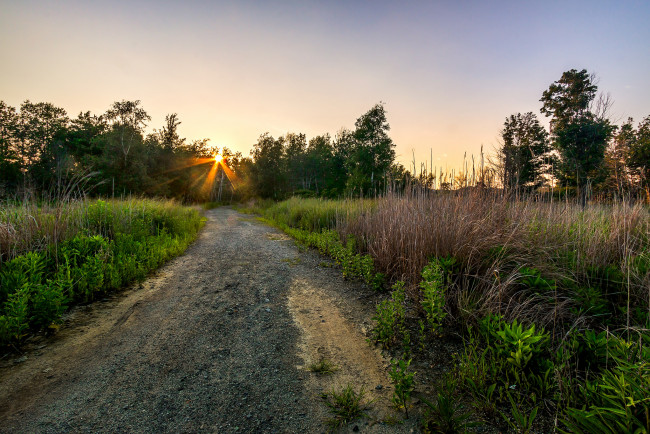 Обои картинки фото природа, дороги, рассвет