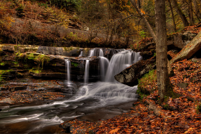 Обои картинки фото природа, водопады, лес, река, водопад