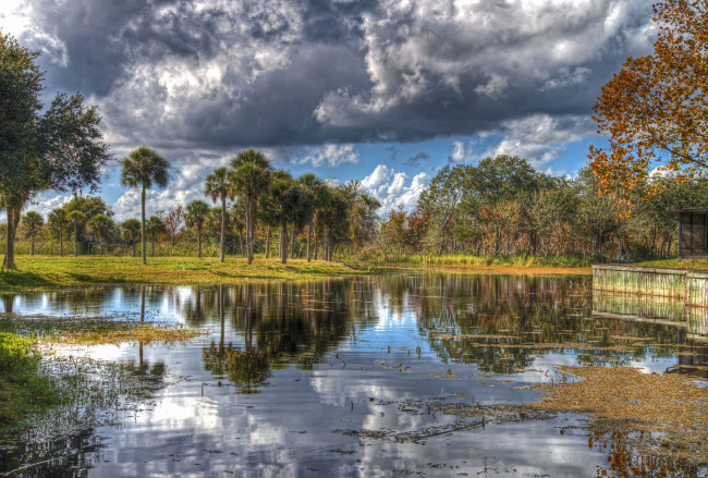 Обои картинки фото природа, реки, озера, лес, река