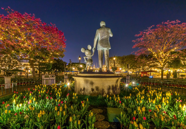 Обои картинки фото города, диснейленд, парк, ночь