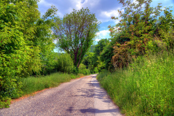 Картинка природа дороги тракт