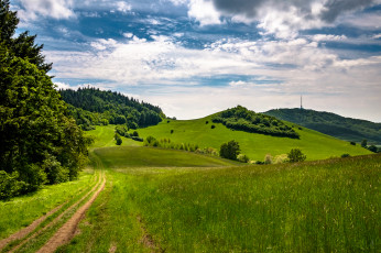 Картинка природа дороги тракт