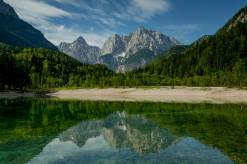 Картинка природа реки озера река лес