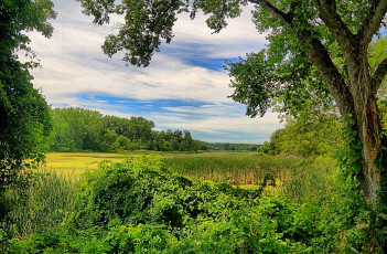 Картинка природа реки озера река лес