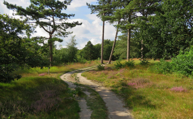 Обои картинки фото природа, дороги, тракт