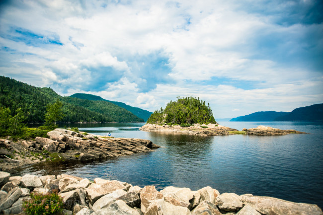 Обои картинки фото природа, реки, озера, река, лес