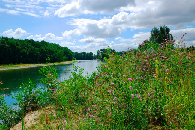 Обои картинки фото природа, реки, озера, река, лес