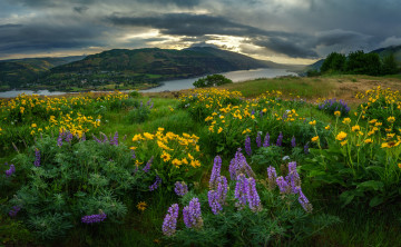 Картинка природа пейзажи простор