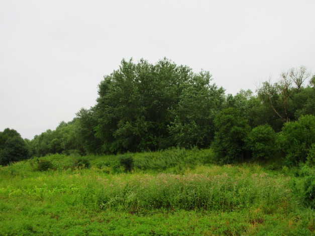 Обои картинки фото природа, пейзажи, лето