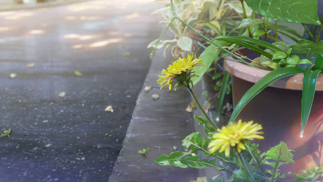 Обои картинки фото аниме, kimi no na wa, твоё, имя