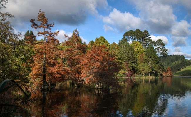 Обои картинки фото природа, реки, озера, лес, река