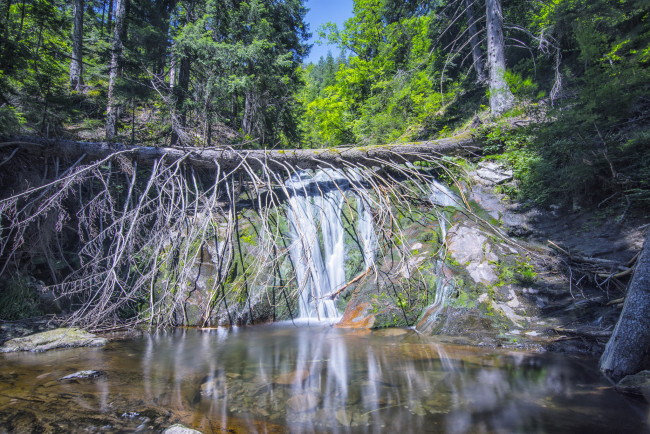 Обои картинки фото природа, водопады, река, водопад, лес