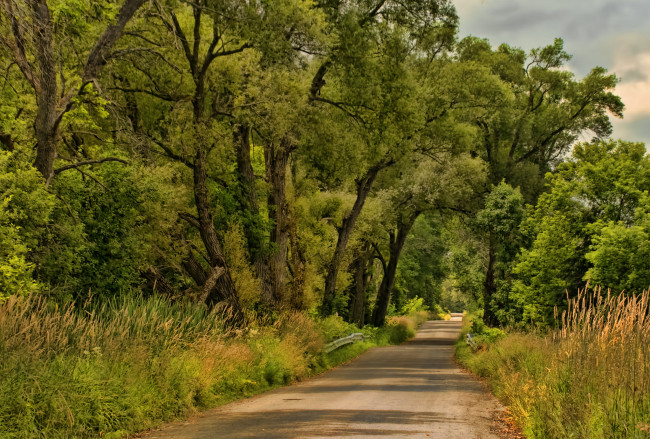 Обои картинки фото природа, дороги, деревья, дорога