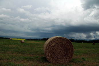 Картинка природа поля поле облака