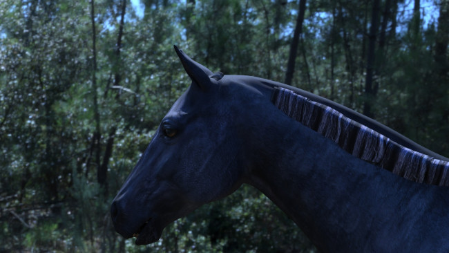 Обои картинки фото 3д графика, животные , animals, голова, грива, лошадь