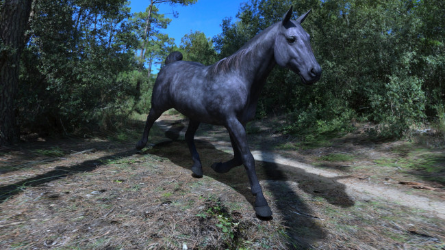 Обои картинки фото 3д графика, животные , animals, голова, грива, лошадь