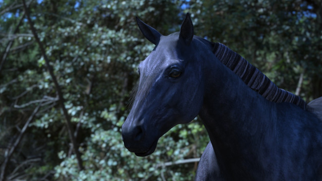 Обои картинки фото 3д графика, животные , animals, голова, грива, лошадь