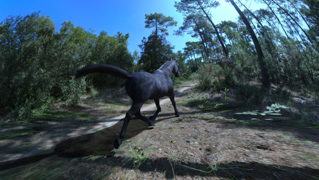 Обои картинки фото 3д графика, животные , animals, голова, грива, лошадь