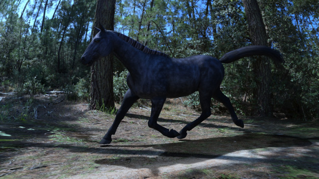 Обои картинки фото 3д графика, животные , animals, голова, грива, лошадь