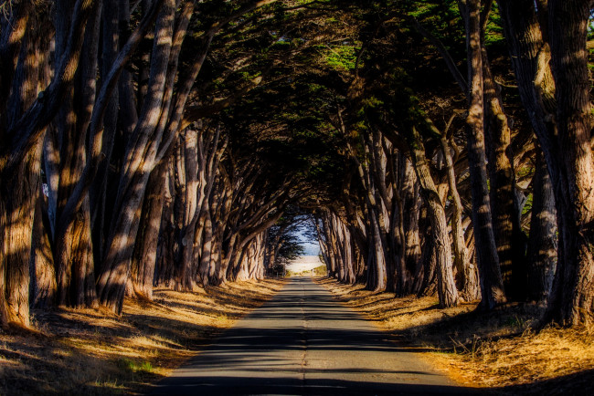 Обои картинки фото природа, дороги, деревья, дорога, шоссе