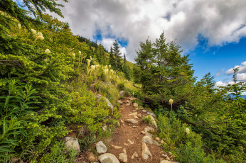 Картинка природа пейзажи простор