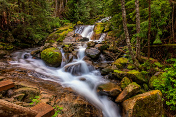 Картинка природа реки озера простор