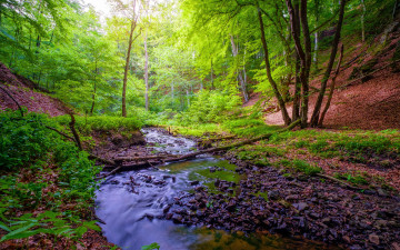 Картинка природа реки озера поток