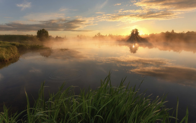 Обои картинки фото озеро, природа, вода, лес, туман