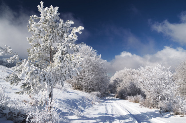 Обои картинки фото природа, зима, простор