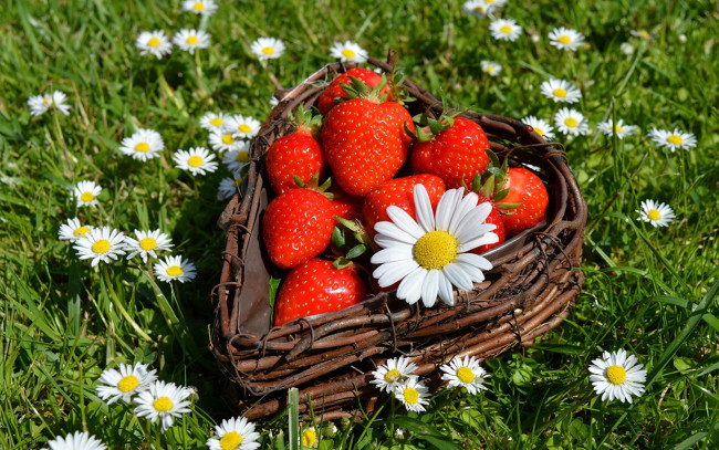 Обои картинки фото еда, клубника,  земляника