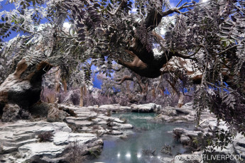 Картинка кино+фильмы dance+of+the+phoenix танец феникса