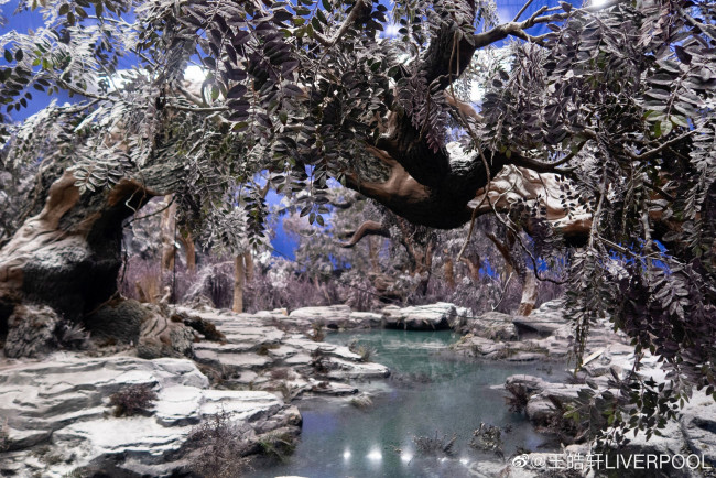 Обои картинки фото кино фильмы, dance of the phoenix, танец, феникса