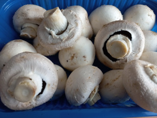 обоя еда, грибы,  грибные блюда, шампиньоны