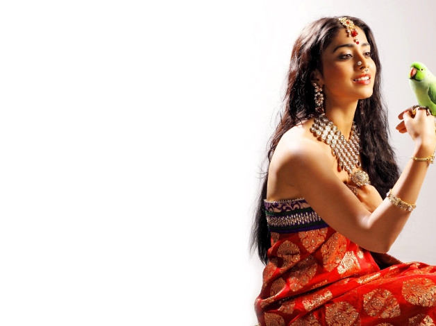 Обои картинки фото shriya saran, девушки, шатенка, украшения, сари, попугай