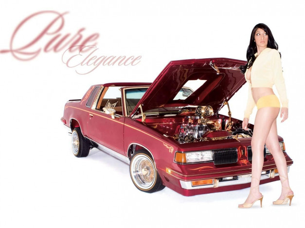 Обои картинки фото автомобили, авто, девушками