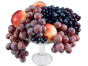 Картинка еда фрукты ягоды