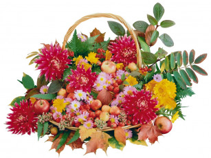 Картинка еда фрукты ягоды