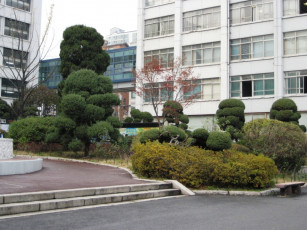 Картинка корея города здания дома