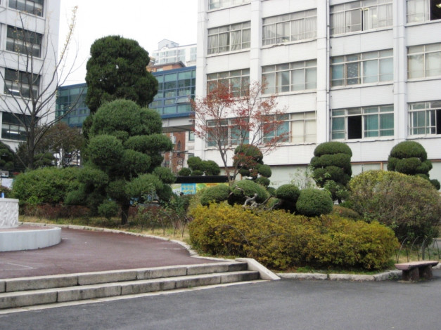 Обои картинки фото корея, города, здания, дома